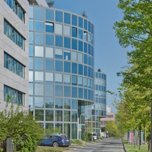 Aculeum Frankfurt Aculeum Frankfurt